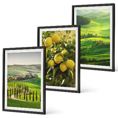 Set di quadri incorniciati Agrumeti e colline italiane