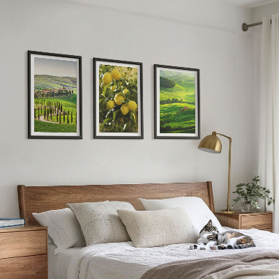 Set di quadri incorniciati Agrumeti e colline italiane