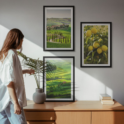 Set di quadri incorniciati Agrumeti e colline italiane