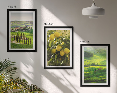 Set di quadri incorniciati Agrumeti e colline italiane