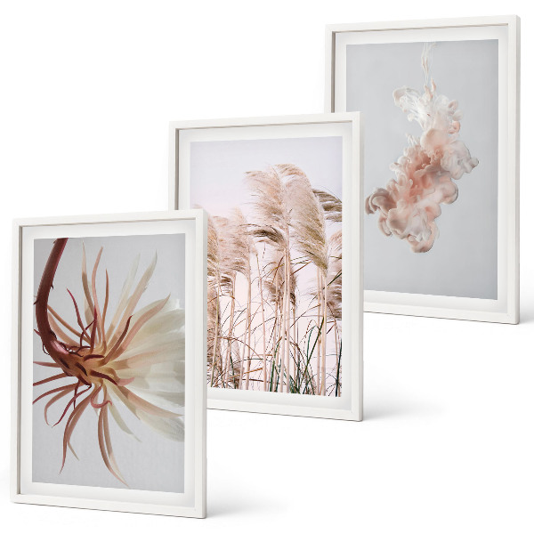 Set di quadri incorniciati Sfondo chiaro con fiori d'erba