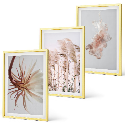 Set di quadri incorniciati Sfondo chiaro con fiori d'erba