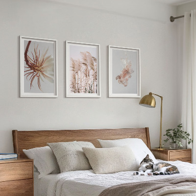 Set di quadri incorniciati Sfondo chiaro con fiori d'erba