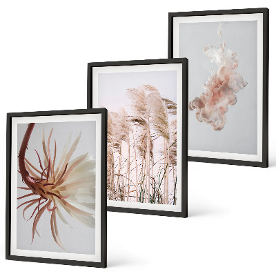 Set di quadri incorniciati Sfondo chiaro con fiori d'erba