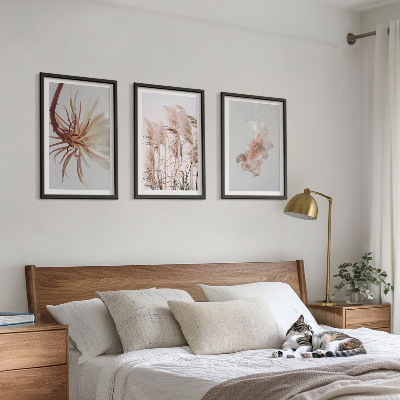 Set di quadri incorniciati Sfondo chiaro con fiori d'erba