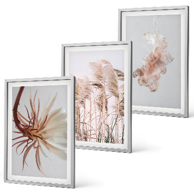 Set di quadri incorniciati Sfondo chiaro con fiori d'erba