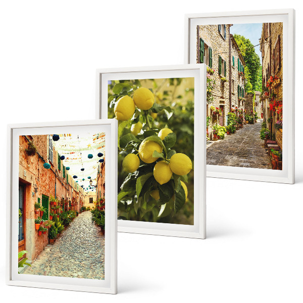 Composizione di quadri Strade con fiori di limone sullo sfondo