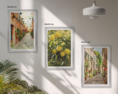 Composizione di quadri Strade con fiori di limone sullo sfondo