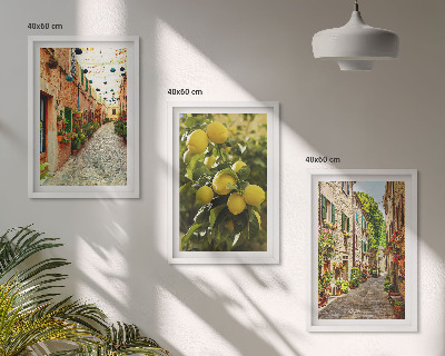 Composizione di quadri Strade con fiori di limone sullo sfondo