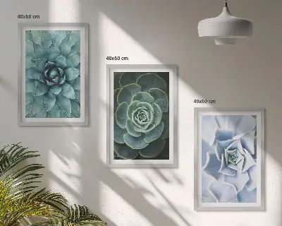 Composizione di quadri con piante succulente verde turchese