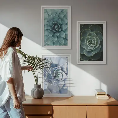 Composizione di quadri con piante succulente verde turchese