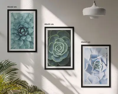 Composizione di quadri con piante succulente verde turchese