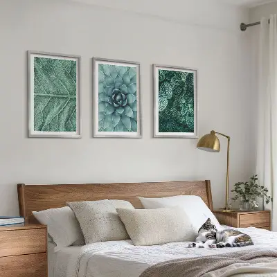 Set di quadri incorniciati con primo piano di foglie di pianta