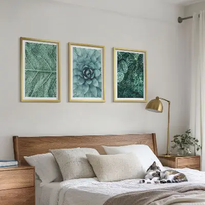 Set di quadri incorniciati con primo piano di foglie di pianta