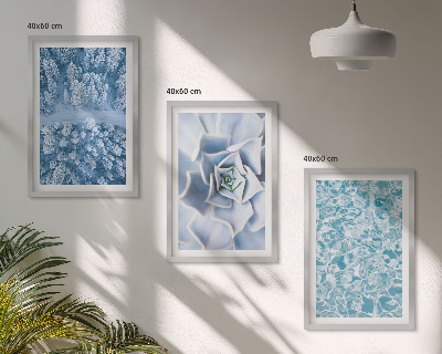 Set di quadri incorniciati Acqua di fiori blu della foresta invernale