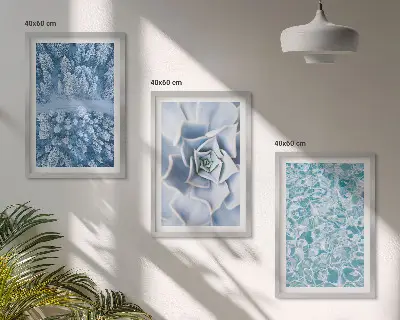 Set di quadri incorniciati con stampa di fiori blu in una foresta invernale