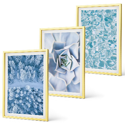 Set di quadri incorniciati Acqua di fiori blu della foresta invernale