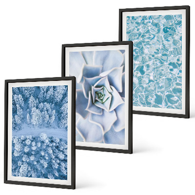 Set di quadri incorniciati Acqua di fiori blu della foresta invernale