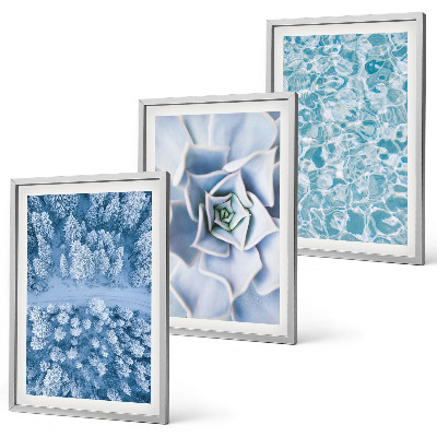 Set di quadri incorniciati Acqua di fiori blu della foresta invernale