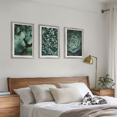 Set di quadri incorniciati Foglie verdi in stile succulente