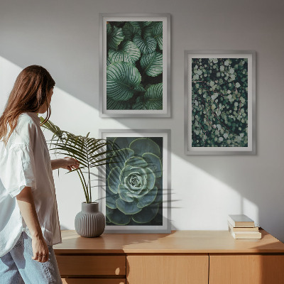 Set di quadri incorniciati Foglie verdi in stile succulente