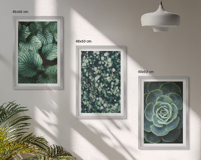 Set di quadri incorniciati Foglie verdi in stile succulente