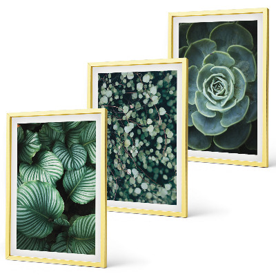 Set di quadri incorniciati Foglie verdi in stile succulente