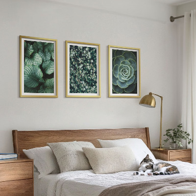 Set di quadri incorniciati Foglie verdi in stile succulente