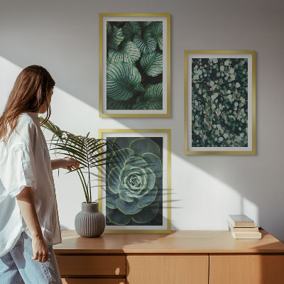 Set di quadri incorniciati Foglie verdi in stile succulente