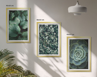 Set di quadri incorniciati Foglie verdi in stile succulente