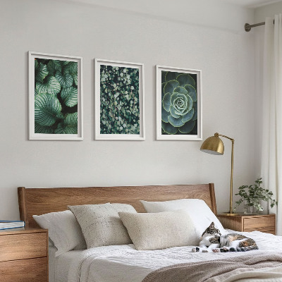 Set di quadri incorniciati Foglie verdi in stile succulente