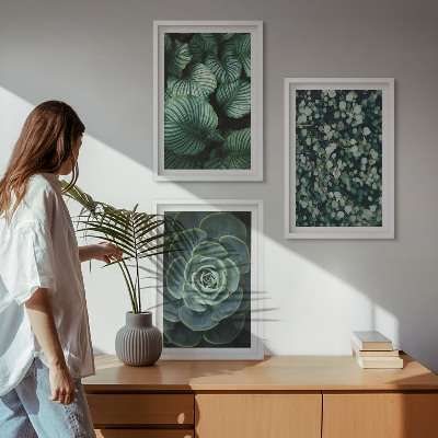 Set di quadri incorniciati Foglie verdi in stile succulente