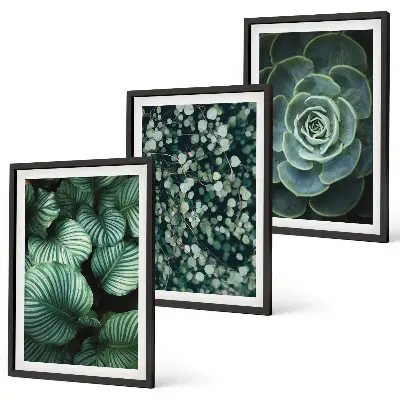 Set di quadri incorniciati con motivo di foglie verdi in stile succulente