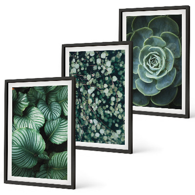 Set di quadri incorniciati Foglie verdi in stile succulente
