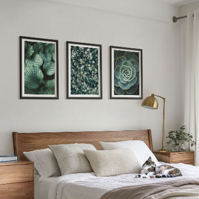 Set di quadri incorniciati Foglie verdi in stile succulente