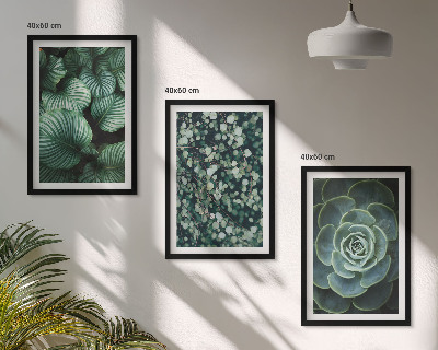 Set di quadri incorniciati Foglie verdi in stile succulente