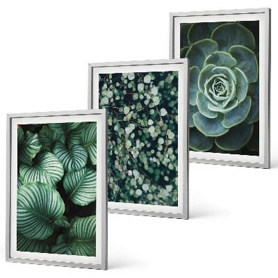 Set di quadri incorniciati Foglie verdi in stile succulente