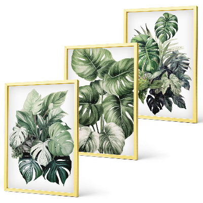 Set di 3 quadri Foglie tropicali verdi ad acquerello