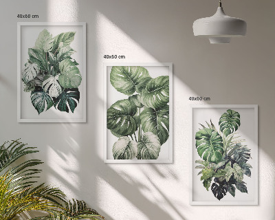 Set di 3 quadri Foglie tropicali verdi ad acquerello