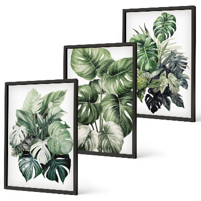 Set di 3 quadri Foglie tropicali verdi ad acquerello
