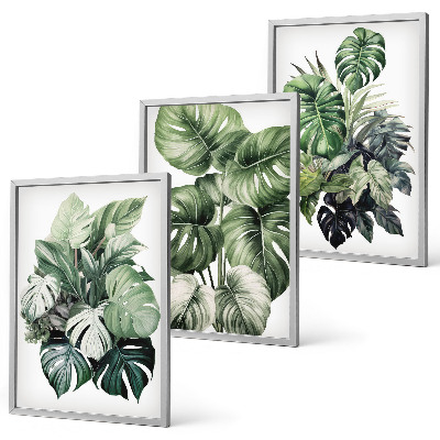 Set di 3 quadri Foglie tropicali verdi ad acquerello