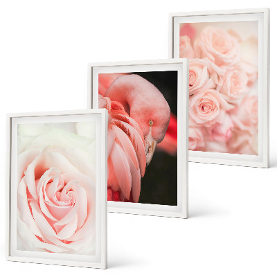 Set di quadri incorniciati fenicotteri rosa pastello delicatamente