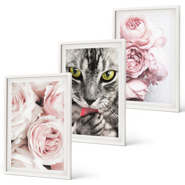 Composizione di quadri Gatto tra i fiori rosa