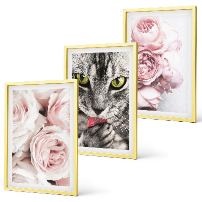 Composizione di quadri Gatto tra i fiori rosa
