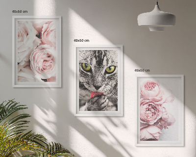 Composizione di quadri Gatto tra i fiori rosa