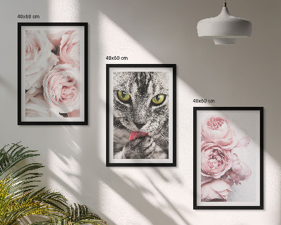 Composizione di quadri Gatto tra i fiori rosa