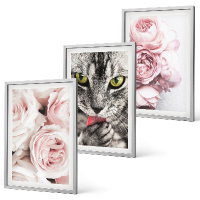 Composizione di quadri Gatto tra i fiori rosa