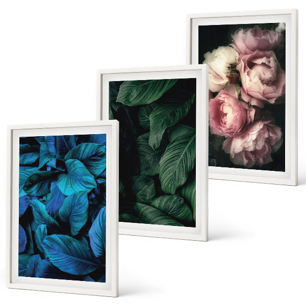 Set di 3 quadri Foglie, fiori, colori diversi