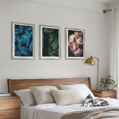Set di 3 quadri Foglie, fiori, colori diversi