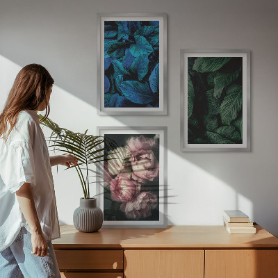 Set di 3 quadri Foglie, fiori, colori diversi